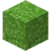 Plokid