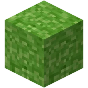 Plokid